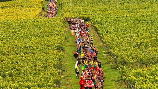 Bacchus Wine Half Marathon
